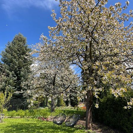 Vila Betula Villa Nove Mesto na Morave Buitenkant foto